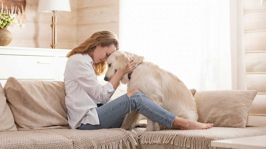 How to Choose a Rehab Center That allows Dogs