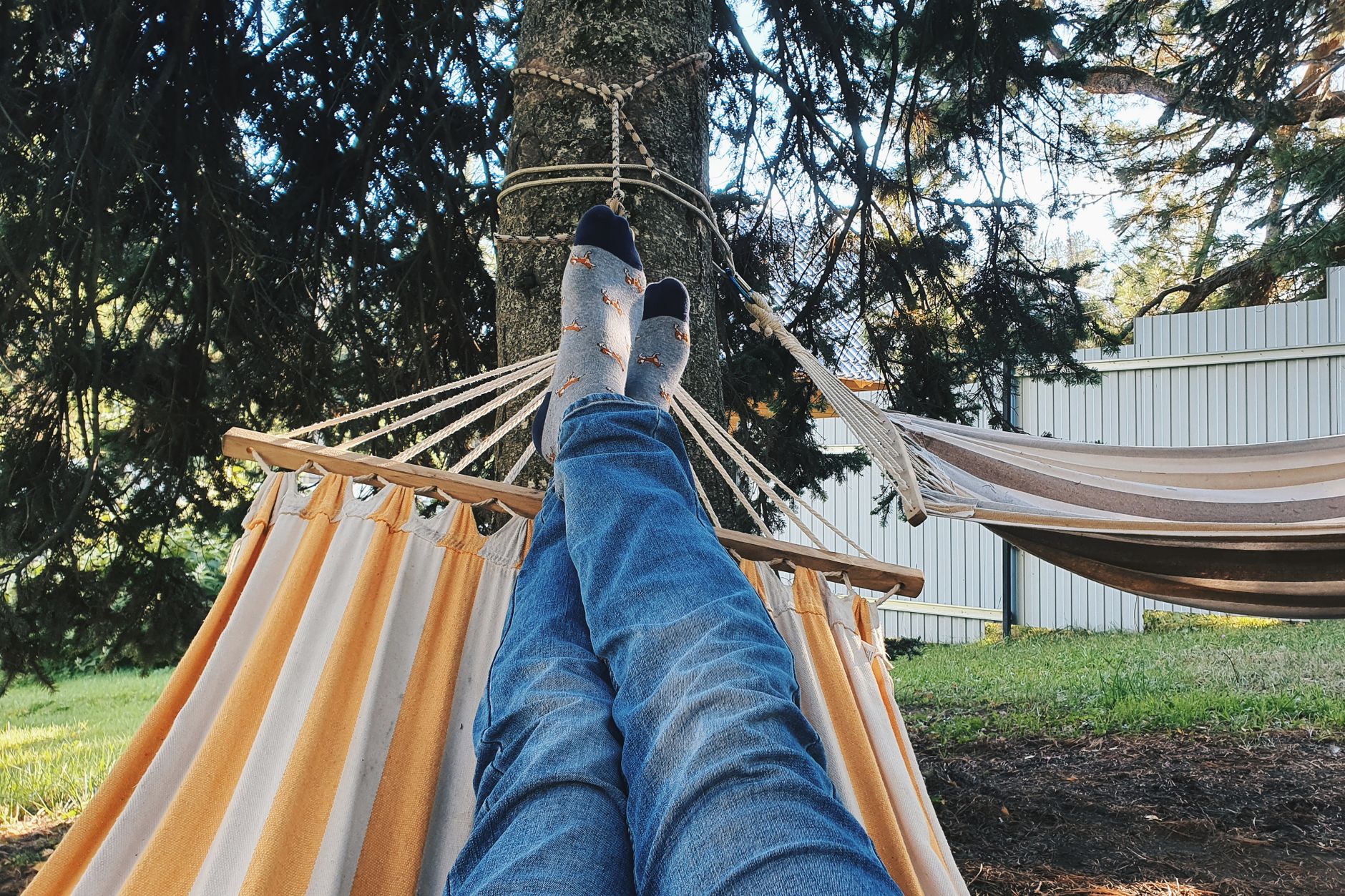 Person relaxing in comfortable hammock in outdoor garden setting