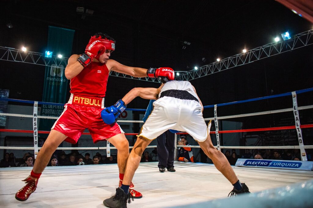 How to Watch Boxing Streams for Global Matches