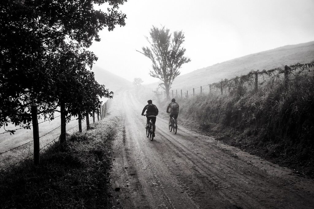 Trek Bikes: Merging Comfort and Performance for Every Trail