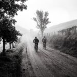 Trek mountain bike on forest trail with rider in cycling gear