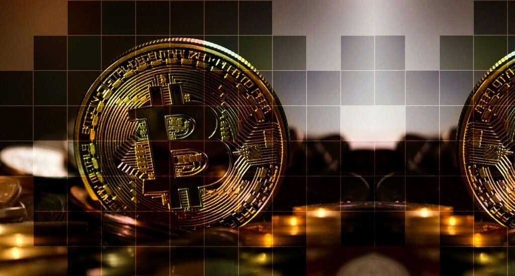 What You Should Know About Shiro Neko Crypto