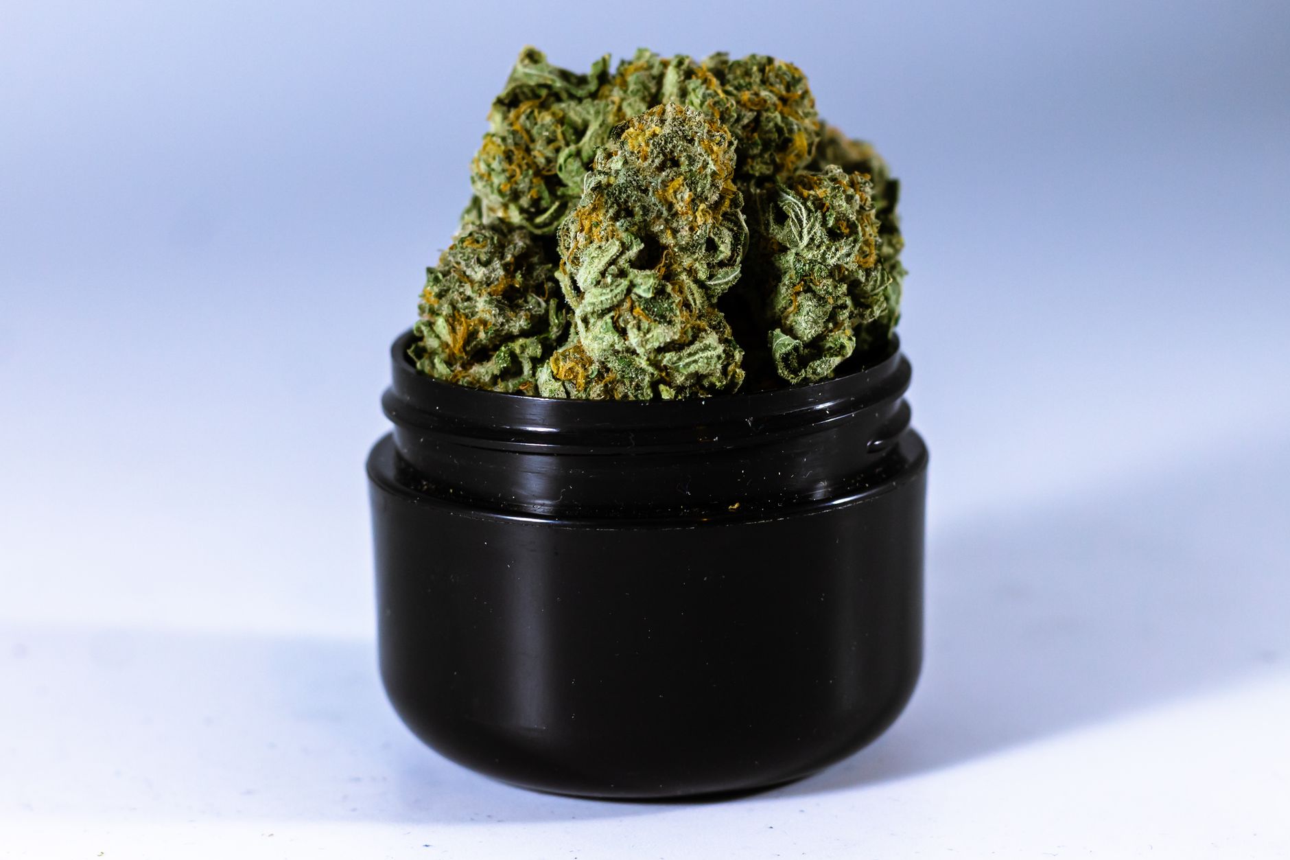 Premium cannabis buds showcasing superior quality and vibrant coloration